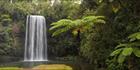 Milla Milla Falls - QLD (PBH4 00 16926)